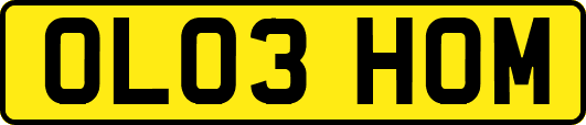 OL03HOM