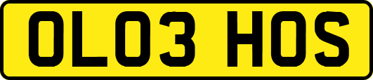 OL03HOS