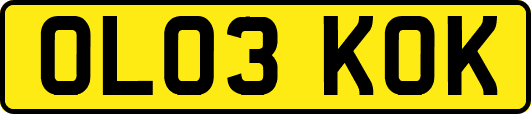 OL03KOK