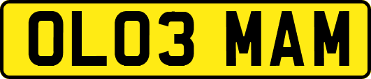 OL03MAM