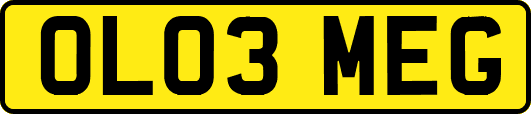 OL03MEG
