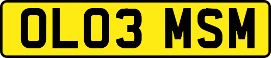OL03MSM