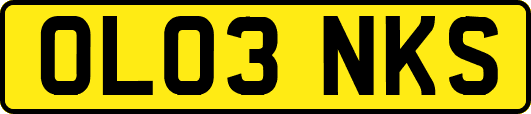 OL03NKS