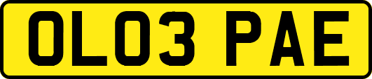 OL03PAE