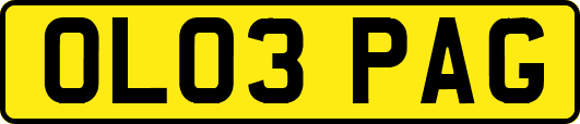 OL03PAG