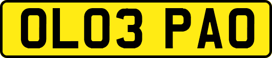 OL03PAO