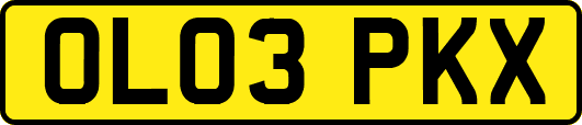 OL03PKX