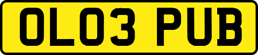 OL03PUB