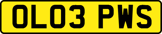 OL03PWS