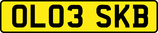 OL03SKB