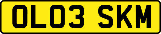 OL03SKM