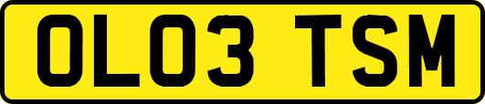 OL03TSM