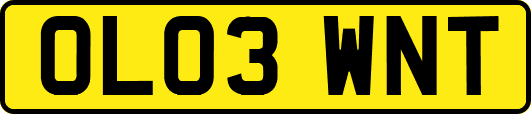 OL03WNT