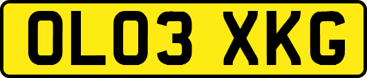 OL03XKG