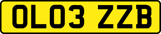OL03ZZB