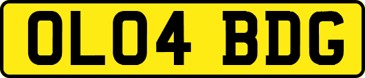 OL04BDG