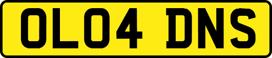 OL04DNS