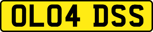 OL04DSS