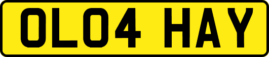 OL04HAY