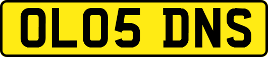 OL05DNS