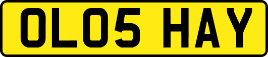OL05HAY