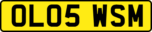 OL05WSM