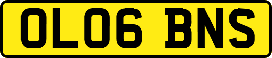 OL06BNS