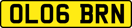 OL06BRN