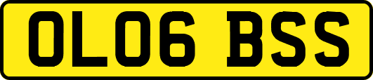 OL06BSS
