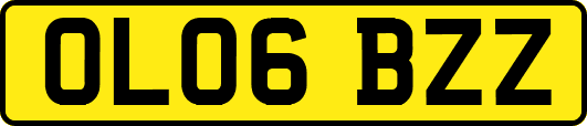OL06BZZ