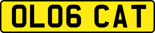 OL06CAT