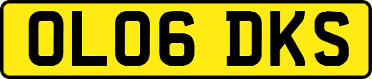 OL06DKS