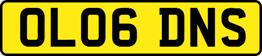 OL06DNS