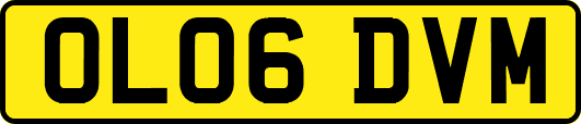 OL06DVM