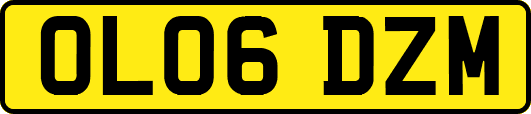 OL06DZM