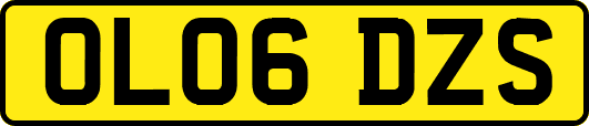 OL06DZS