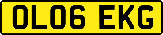 OL06EKG