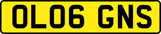 OL06GNS