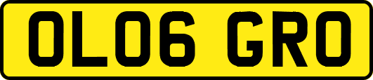OL06GRO