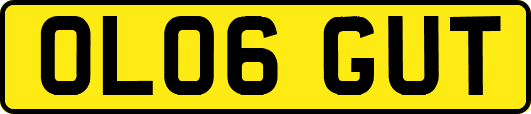 OL06GUT