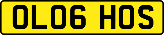 OL06HOS