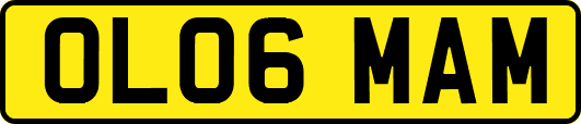OL06MAM