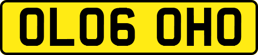 OL06OHO