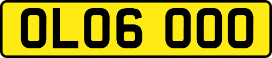 OL06OOO