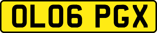 OL06PGX