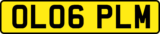 OL06PLM