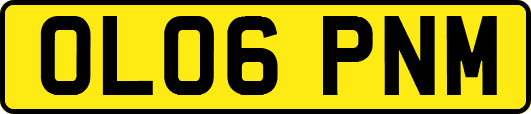 OL06PNM