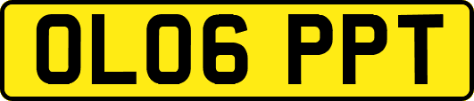 OL06PPT