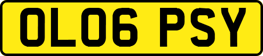 OL06PSY