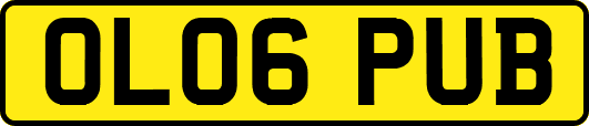 OL06PUB